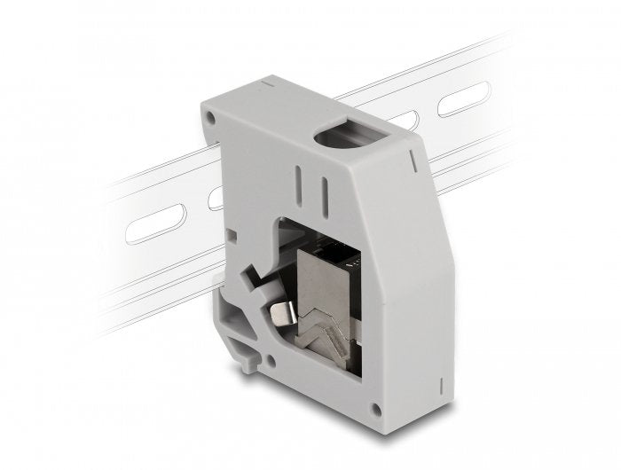Delock Adapter Carril Din With Módulo Keystone RJ45 Female a RJ45 Female CAT.6A
