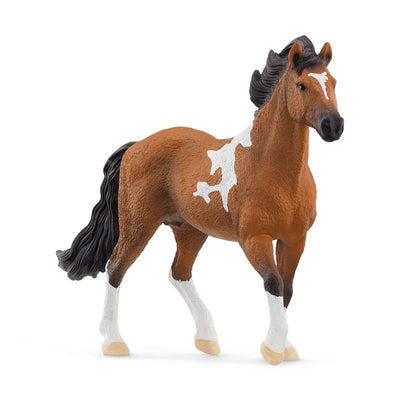 Schleich Horse Club Mangalarga Marchador Semental, Figure Toy 13978 — image 1