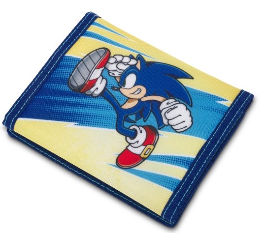 Case Protector Switch Sonic Kick