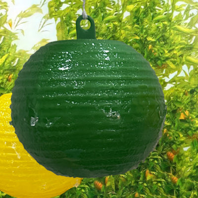 Fruit Fly Lure Ball Orange Fruit Fly Orange Fruit Fly Fruit Fly Sticky Ball