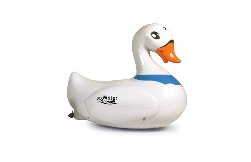 Jamara Rc Animales Acuáticos Cisne 6 +