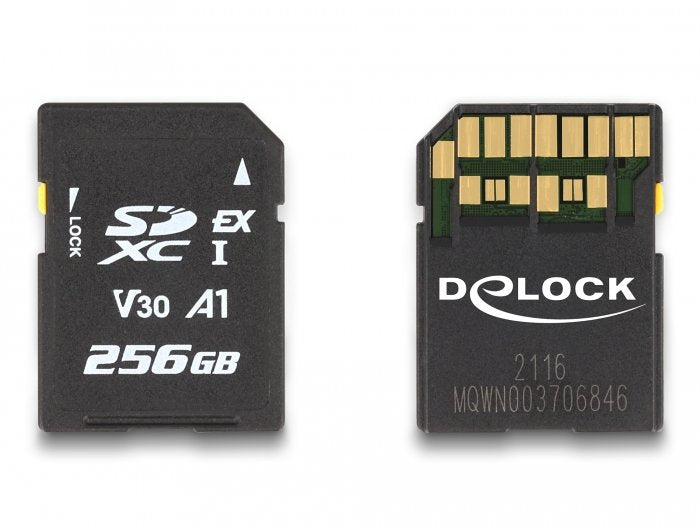 Delock Card Express Speicherkarte 256GB