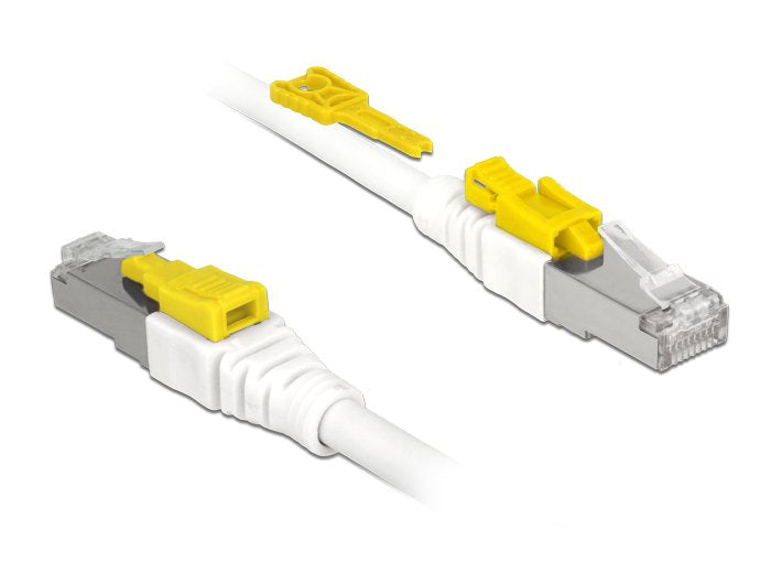 Delock Cable RJ45 Secure CAT.6A 1M