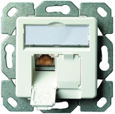 Telegärtner Socket AMJ45 8/8 K Up / 50 CAT.6A White Alpino — image 1