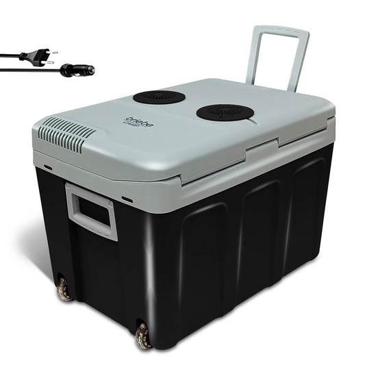 Electric Portable Fridge Black 40 L (Refurbished A)
