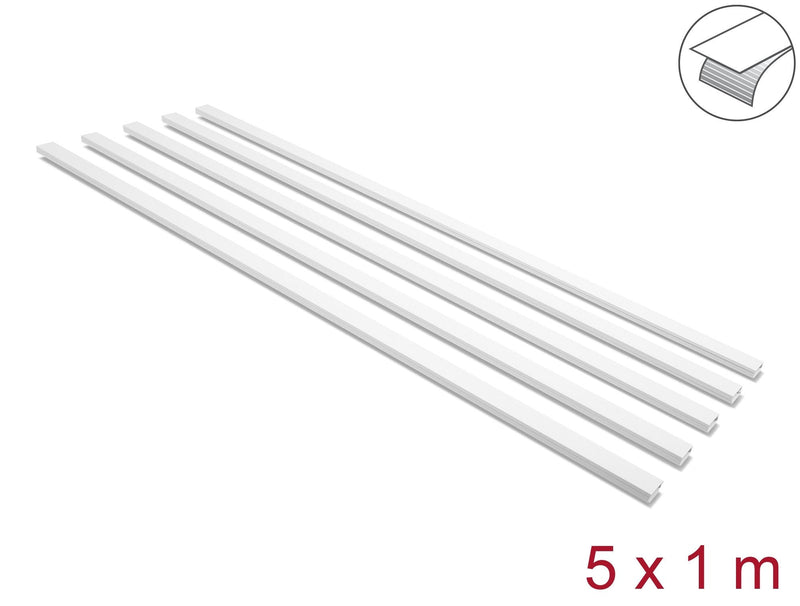 Delock Canaleta Cables Self-adhesive With Schiebedeckel 25 X 10MM - Length 1M Pack 5 White