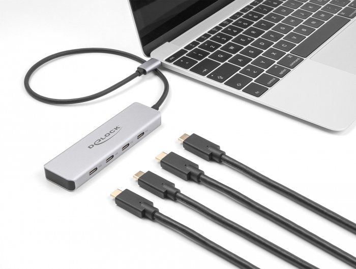Delock USB 10Gbps USB Type-c Hub With 4 X USB Type-c Female