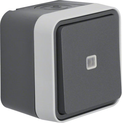 Berker 30763525 Ko-conmutador, Iluminado Ap Wd W.1 Grey — image 1