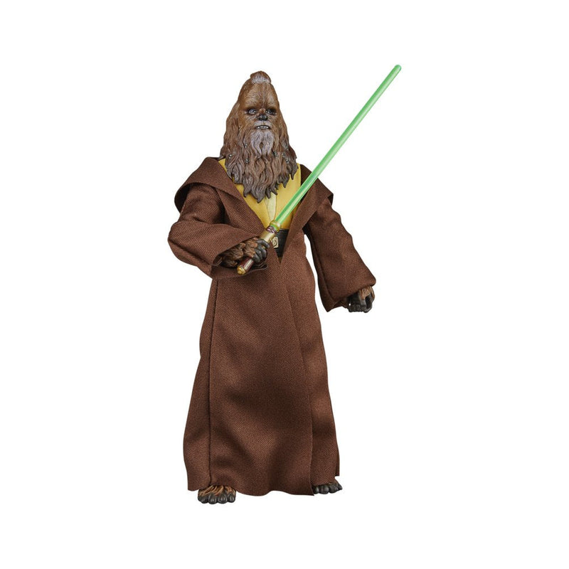 Hasbro Figura Star Wars The Negro Series The Acolyte