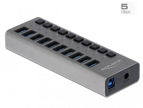 Delock Externer Superspeed USB Hub With 10 Ports + Switch — image 1