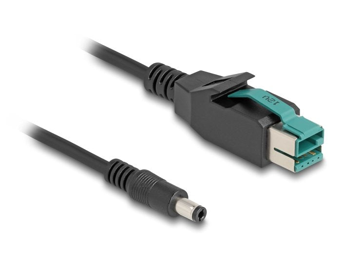 Delock 80496 Cable Poweredusb Male 12V a DC 5,5 X 2,5MM Male 2M