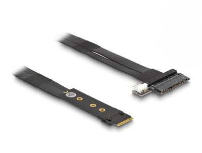 Delock 64216 Adapter M.2 Clave M a U.2 SFF-8639 NVMe With Cable 20CM — image 1