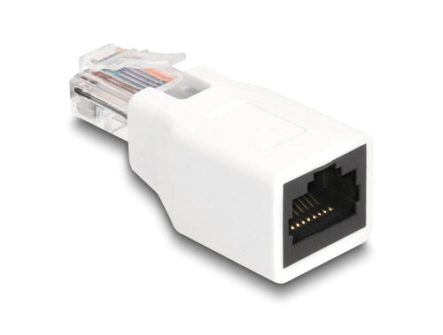 Delock 88002 Adapter RJ50 Male a Female White — image 1