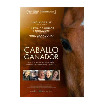 Caballo Ganador (dark Horse) — image 1