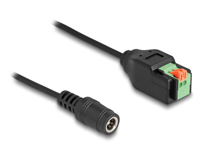Delock DC 5,5 X 2,1MM Connector Female a 2 Pin Terminalblock Adapter With Pulsador 15CM — image 1