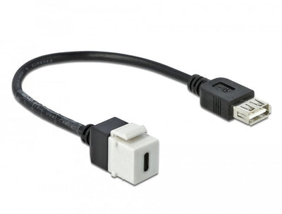 Delock Keystone Módulo USB 2.0 C Connector Female USB 2.0A Connector Female With Cable — image 1