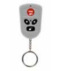 Olympia Remote Control 1 Units Protect/Prohome — image 1