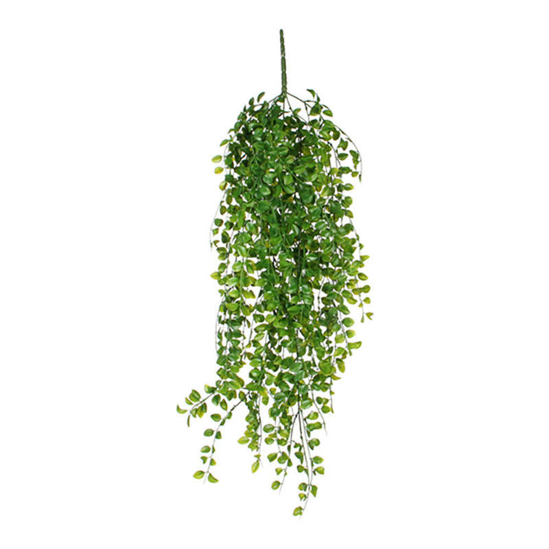 Ficus Colgante Colour Green 81CM