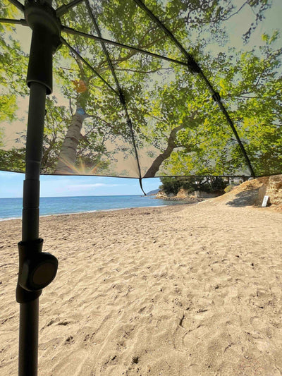 Beach and Terrace Parasol Forest 