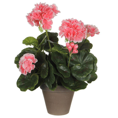 Geranio Melocoton Pvc With Plant Pot Grey — image 1