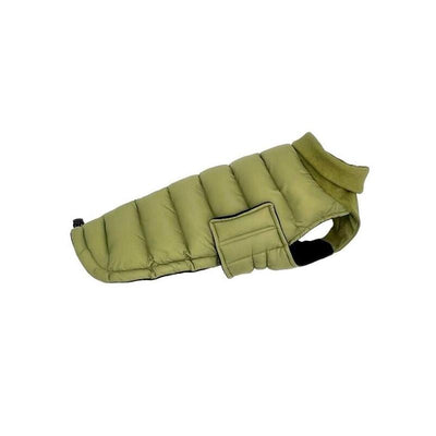 Pchelka Oskar Green - Ropa Perros - Size M — image 1