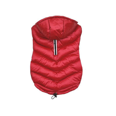 Pchelka Sherry Network - Ropa Perros - Size XL — image 1